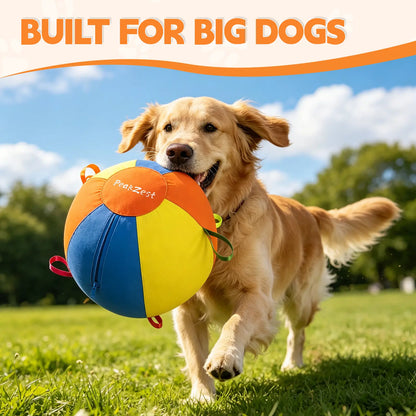 Professional Interactive Herding Ball for Dogs - Durable Inflatable Dog Ball Set with Protective Cover and Pump - Ideal Outdoor Exercise Toy Gift