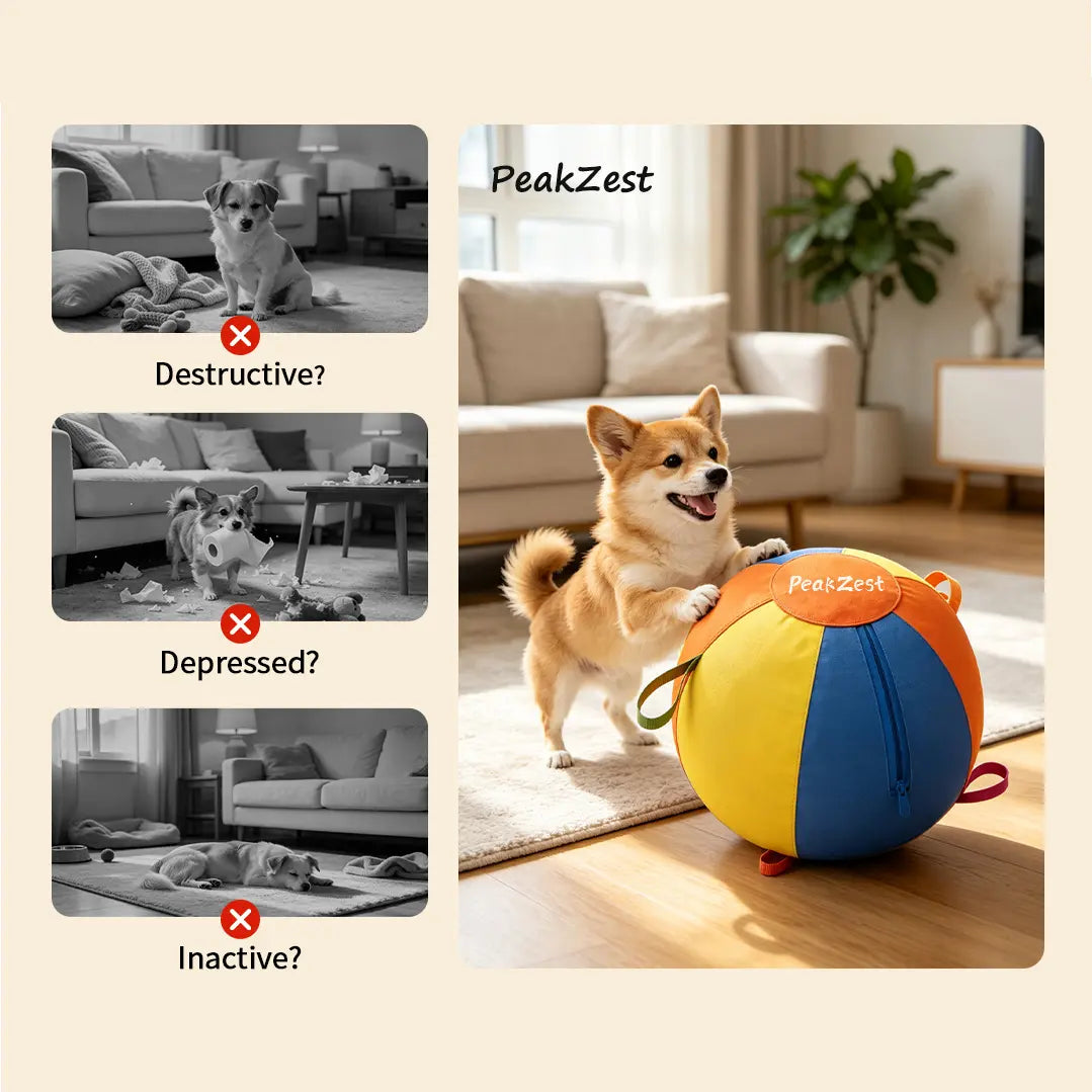 Professional Interactive Herding Ball for Dogs - Durable Inflatable Dog Ball Set with Protective Cover and Pump - Ideal Outdoor Exercise Toy Gift